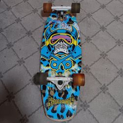 Vintage Skateboard 