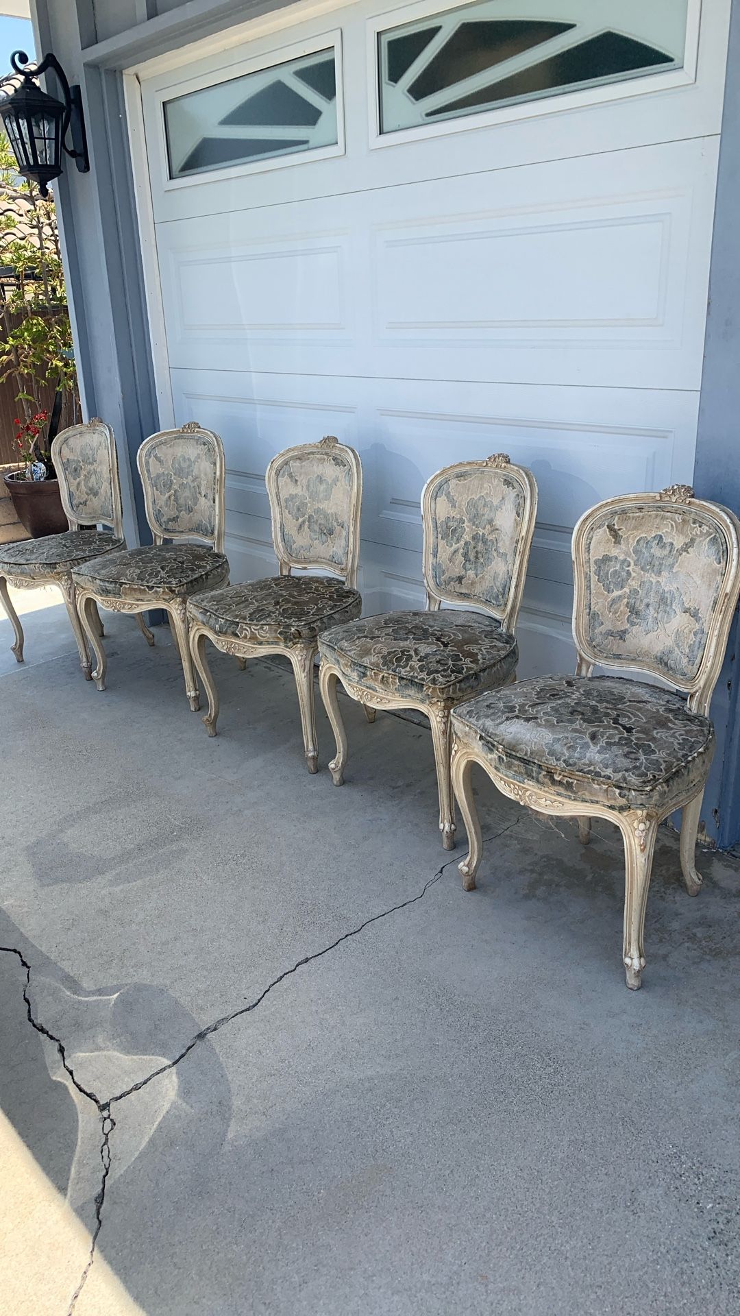 French Provincial Dining Chairs $20 Each