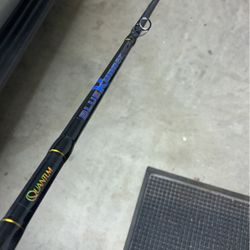 Quantum Fishing Rod
