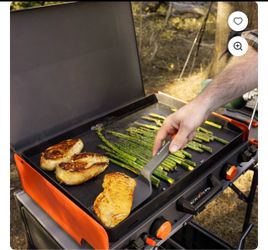 Blackstone 20” camping