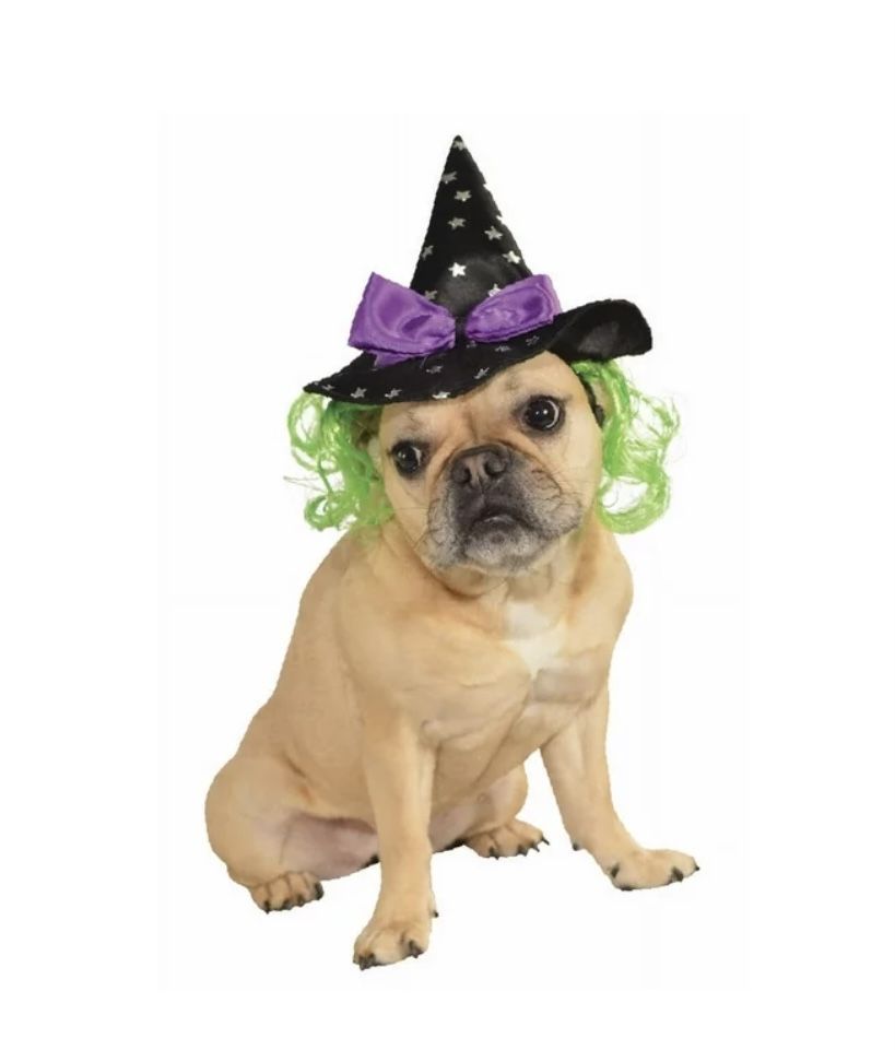Purple Witch Hat with green hair for Pet Dog or Cat