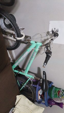 Roadmaster bicycle