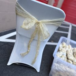 Chair Sashes  ( Champagne
