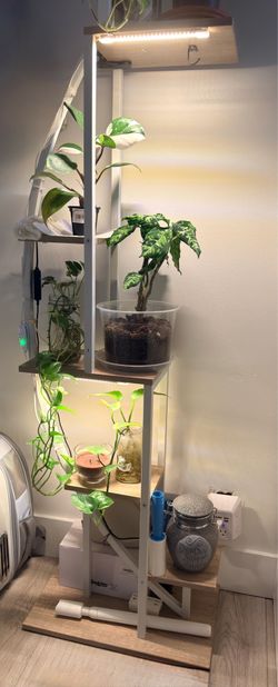 2pc Half Moon Plant Stands