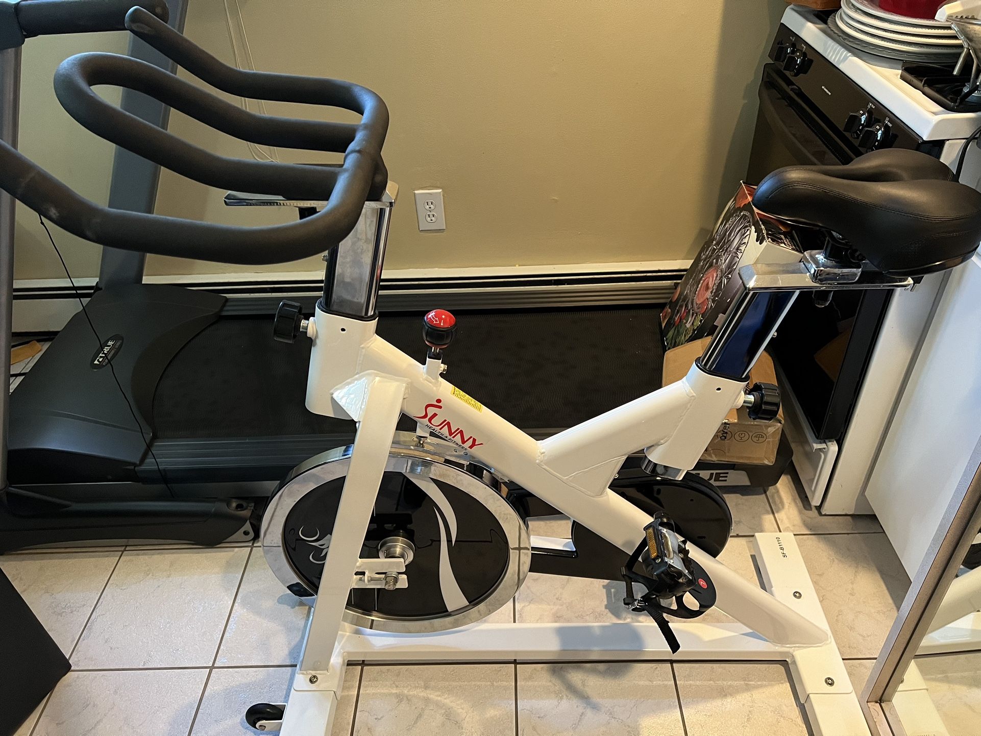 Sunny Exercise Bike