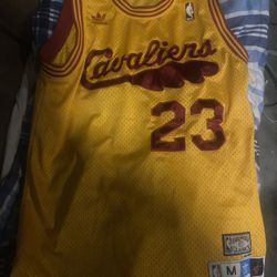 Lebron James Jersey Hardwood classic Edition