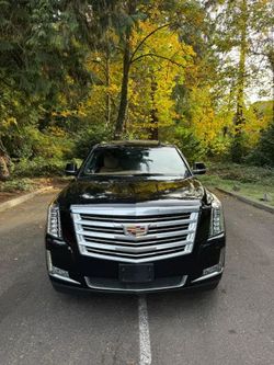 2017 Cadillac Escalade
