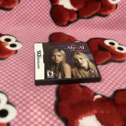 Nintendo DS The Aly &AJ Adventure 