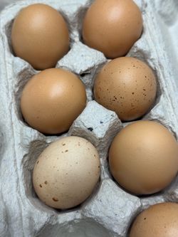 Chicken eggs one dozen