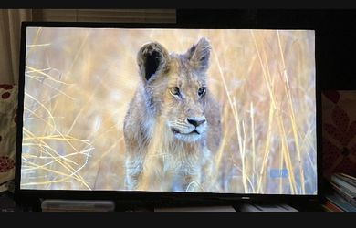 40” Smart TV