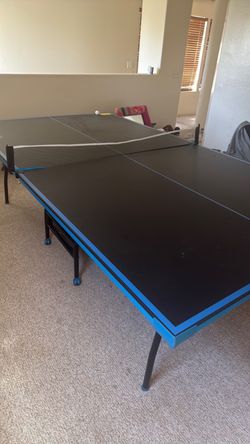 Big ping pong table