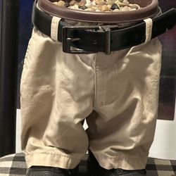 Professional Plant Dude 