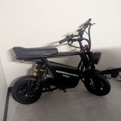ebike Roadrunner Pro 