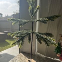 Mini Christmas Trees