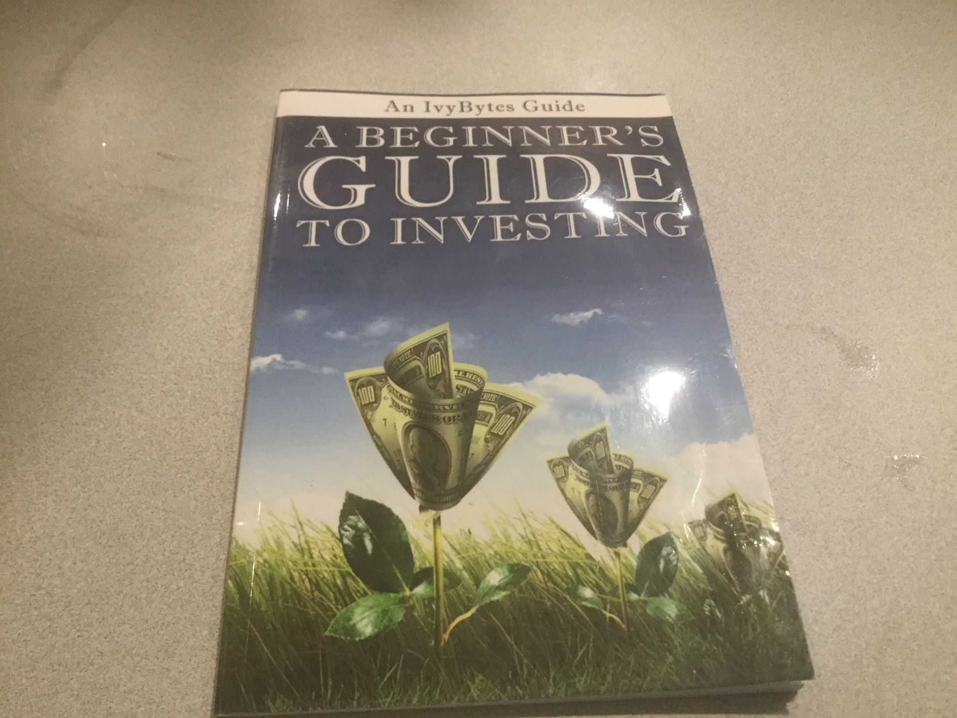 Book A Beginner Guide to Investing
