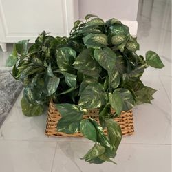 Silk Greenery Plant In Wicker Basket