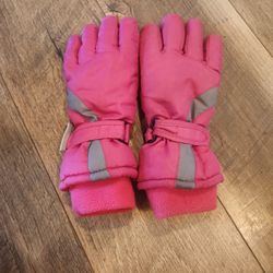10- 12 Snow Gloves