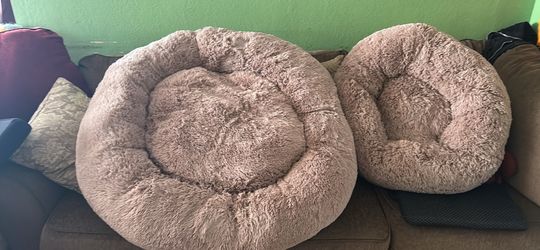 Big Bed for dog