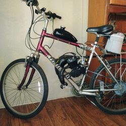 80 Cc  Gas Mountain Bike.