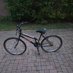 Schwinn Sidewinder