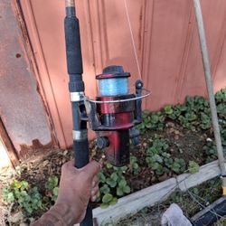 Fishing Pole