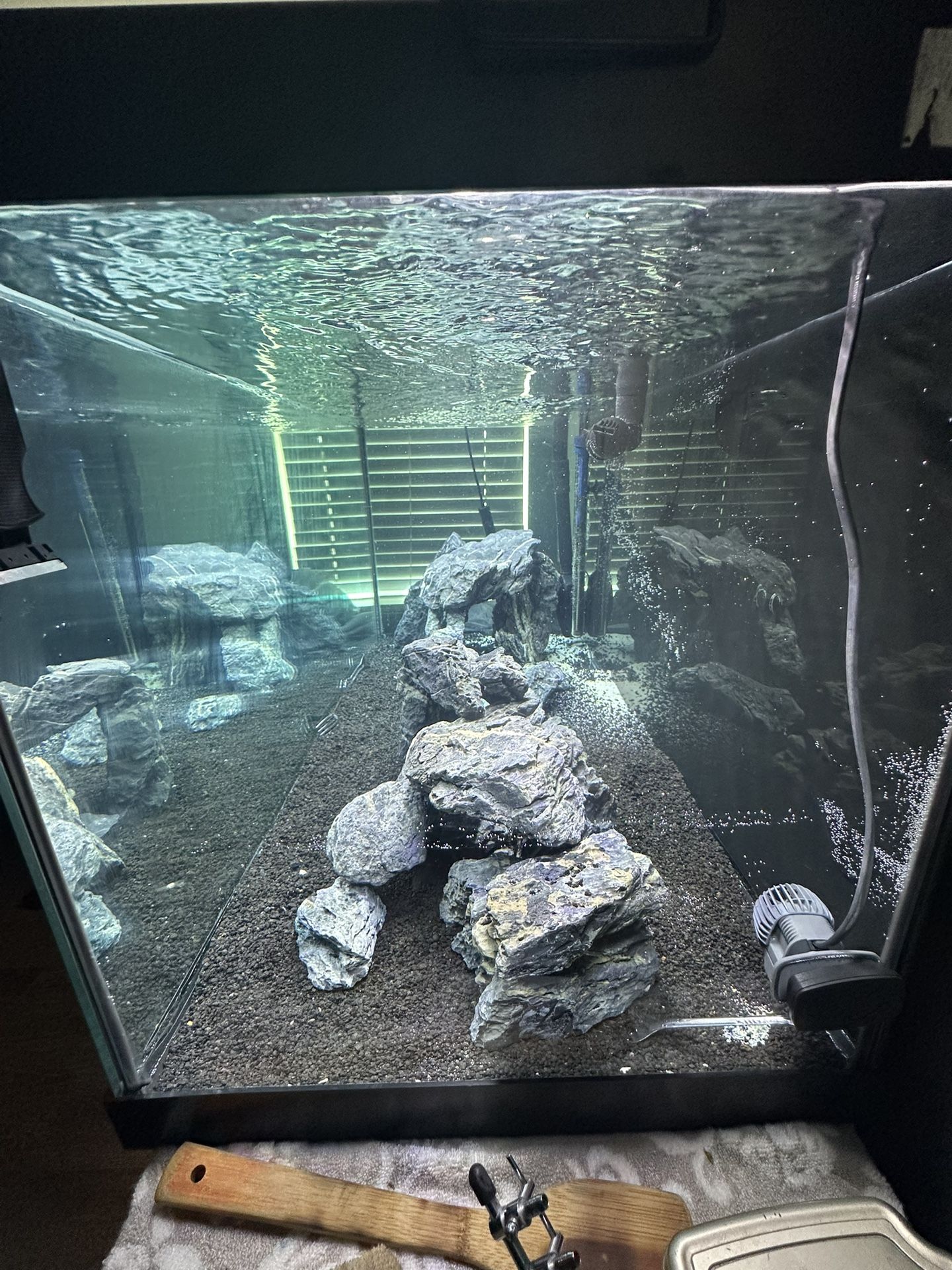 75 Gal Tank Fish Tank