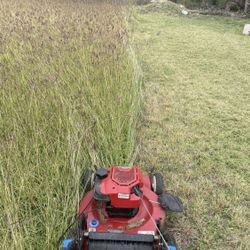 Grass Cutting Service 