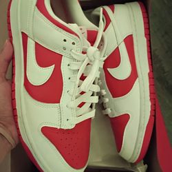 Nike Dunk Size 9.5