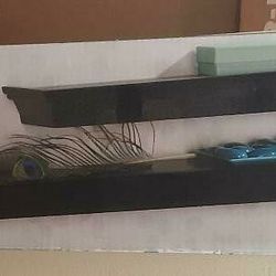 Shelves (Brand New In Box)
