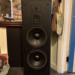 Speaker 