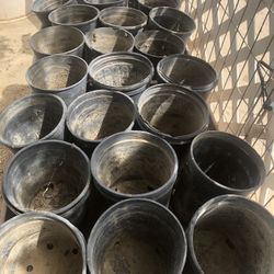 Plan buckets (FREE)