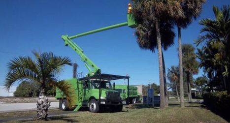 BUCKET TRUCK, FORESTRY TRUCK, INTERNATIONAL TRUCK
