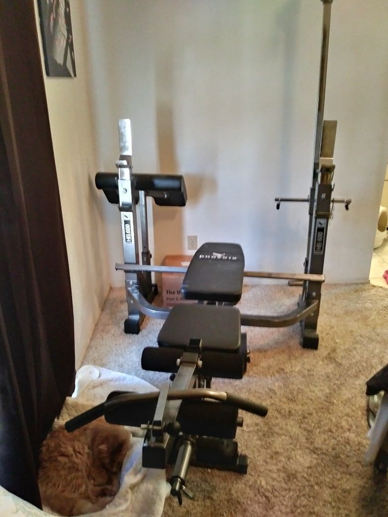 Phoenix Olympic HB 600 workout bench