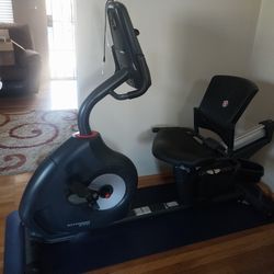 Swinn 270 Recumbent Bike
