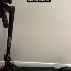 Electric Scooter 