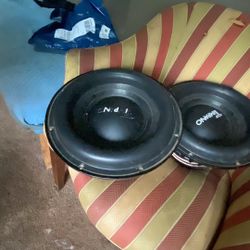 Timpano 12 Tpt2500 D4