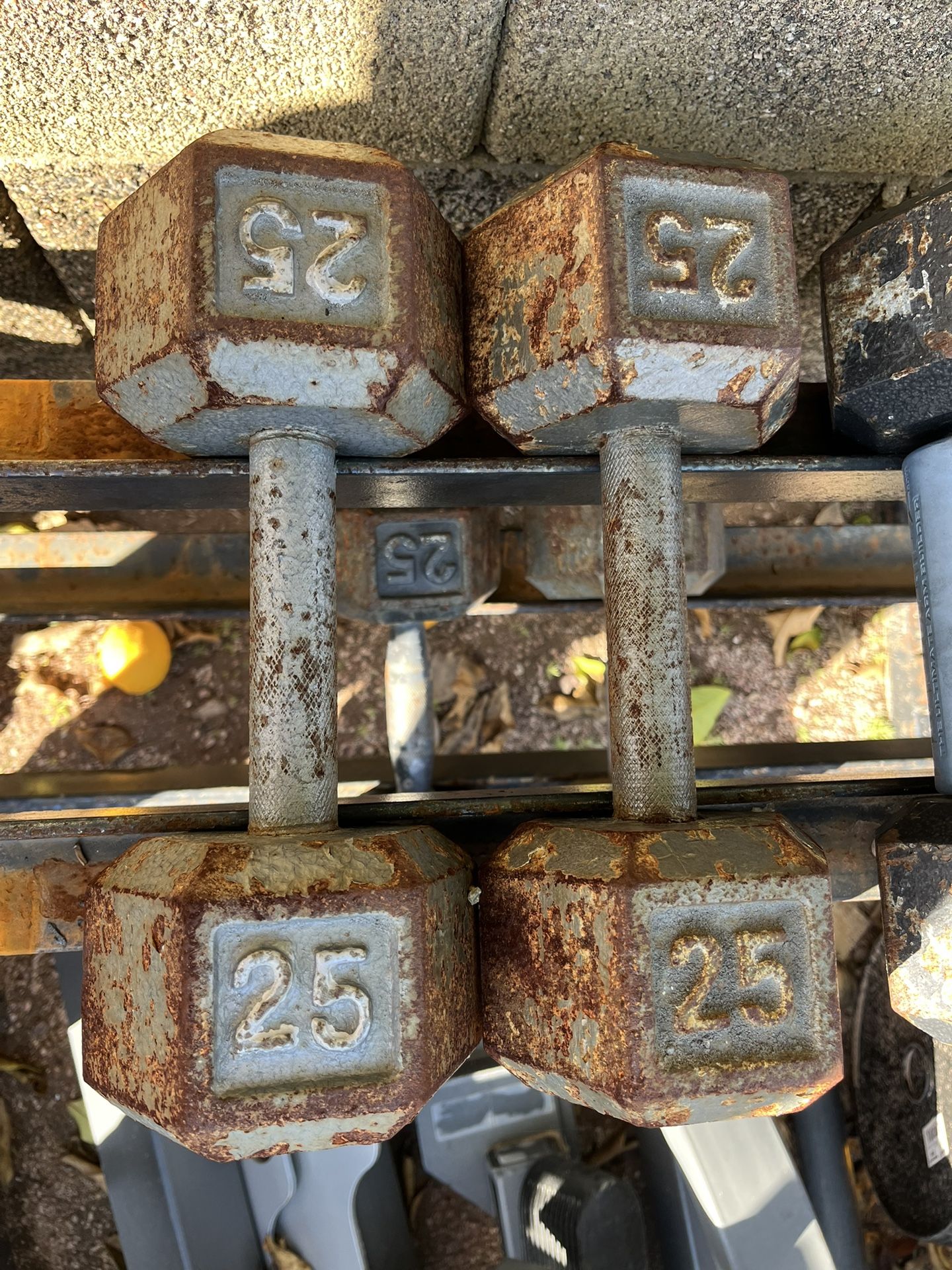 25lb Hex Iron Dumbbell Set Weights 
