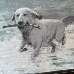 Beautiful Golden Retriever/Labrador Retriever Paintings
