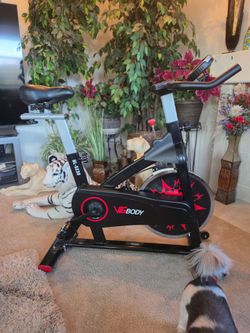 Exercise bike