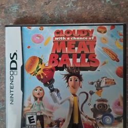 Nintendo DS Game 