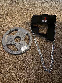 Neck harness with 10 pound plate