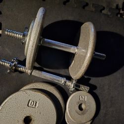 27lbs Dumbells WEIGHTS