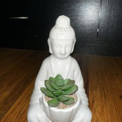 Buddha Plant Home Decor, 