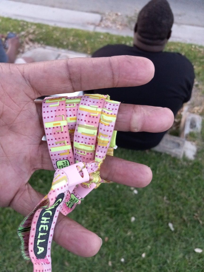 Cocahella