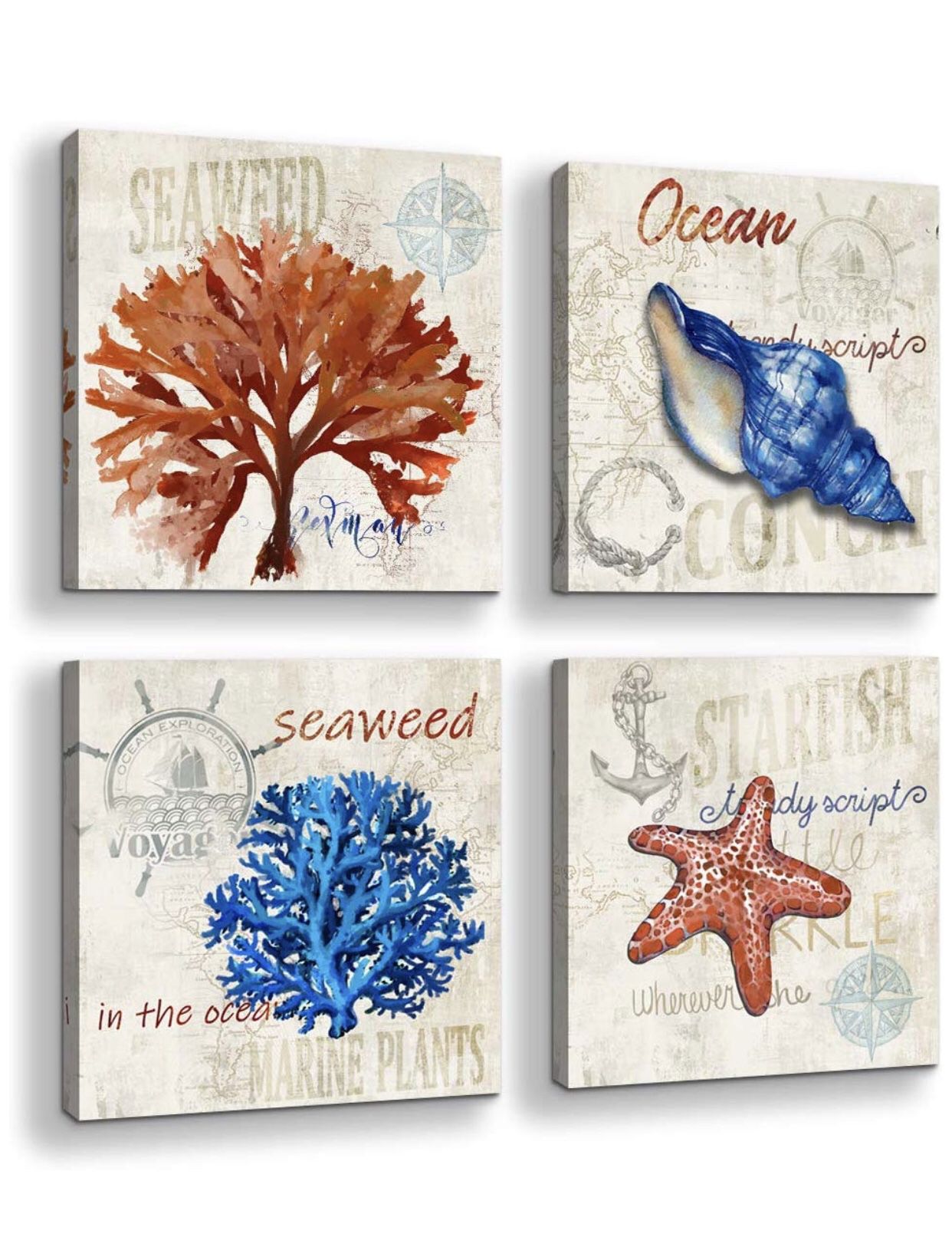 Mofutinpo 5.0 out of 5 stars 3 Reviews Bathroom Decor Ocean Canvas Wall Art Beach Themed Reddish Brown Navy Starfish Conch Seaweed Print Picture Ar