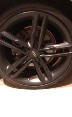 Audi rims