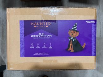 Haunted Living 30 Inch LED Dog with Cape