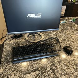 Gaming Monitor + RGB Keyboard + Mouse Bundle (ASUS + SteelSeries + Logitech)