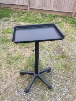 Salon Adjustable Rolling Tray