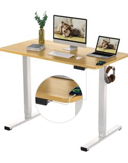 Adjustable Desk Quick Assembly Electric Standing Desk with 48 x 24 Inches Whole-Piece Desktop Ergonomic Memory Controller Sit Stand Desk(White Frame +